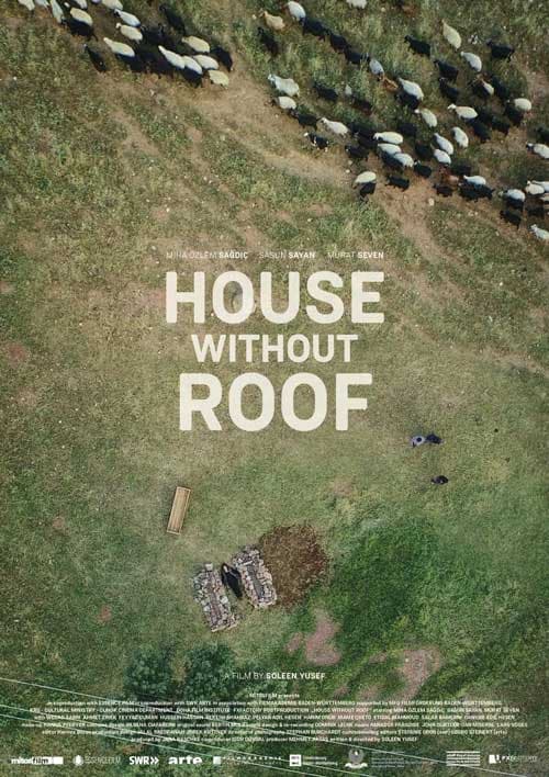 House without Roof — film poster