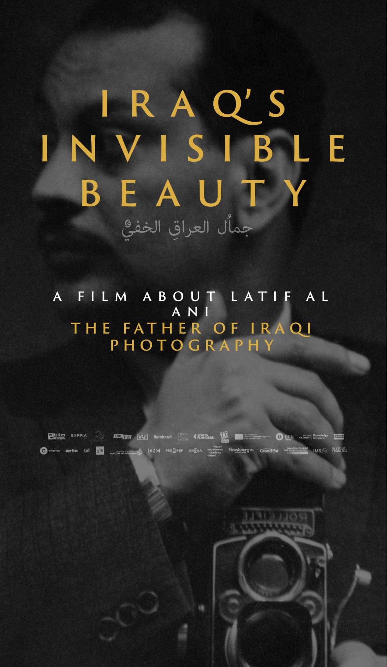 Iraq's Invisible Beauty — film poster