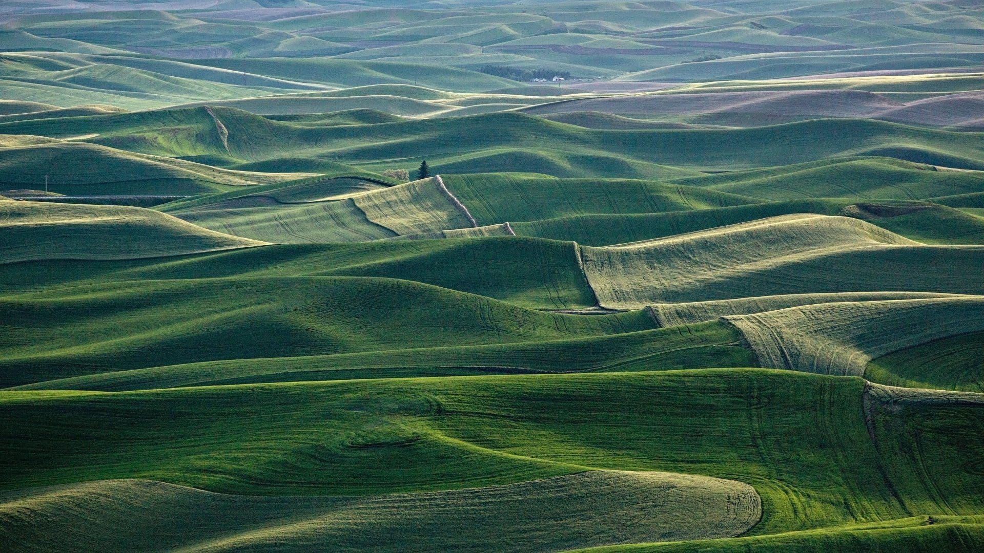 Late sun raking across the green rolling hills of the Kurdistan Region