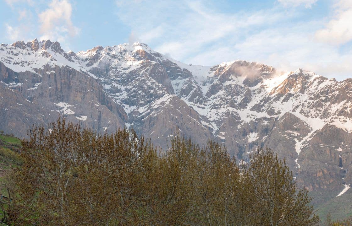 Snow-covered peaks above a bare winter treeline