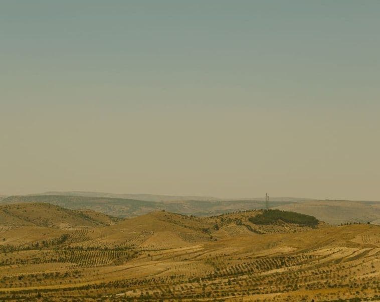 Golden hills rolling to the horizon