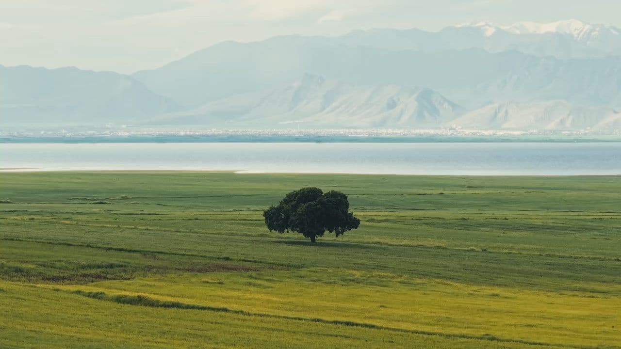 A lone tree on the plain below the mountains of the Kurdistan Region