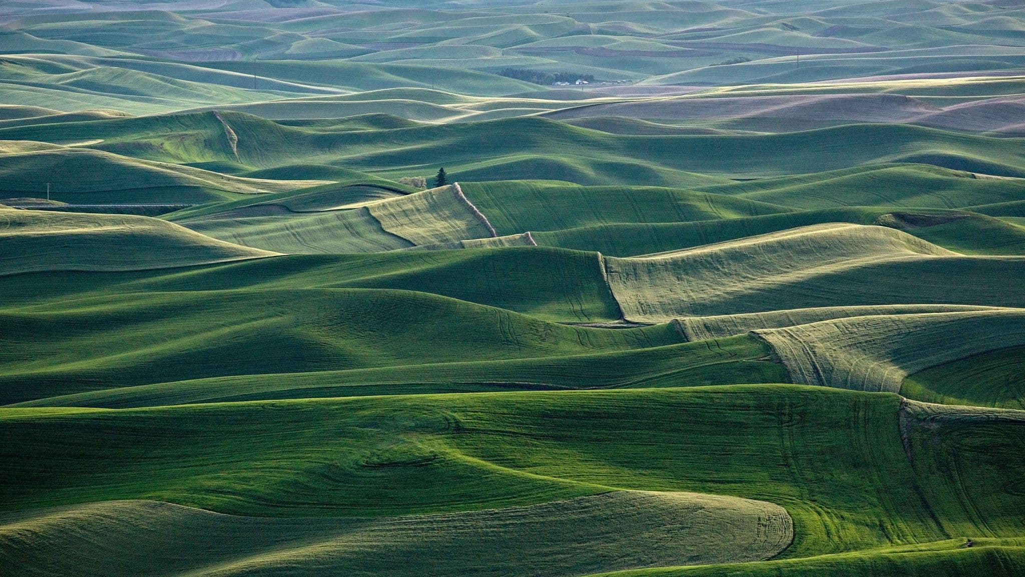 Late light raking across the green hills of the Kurdistan region